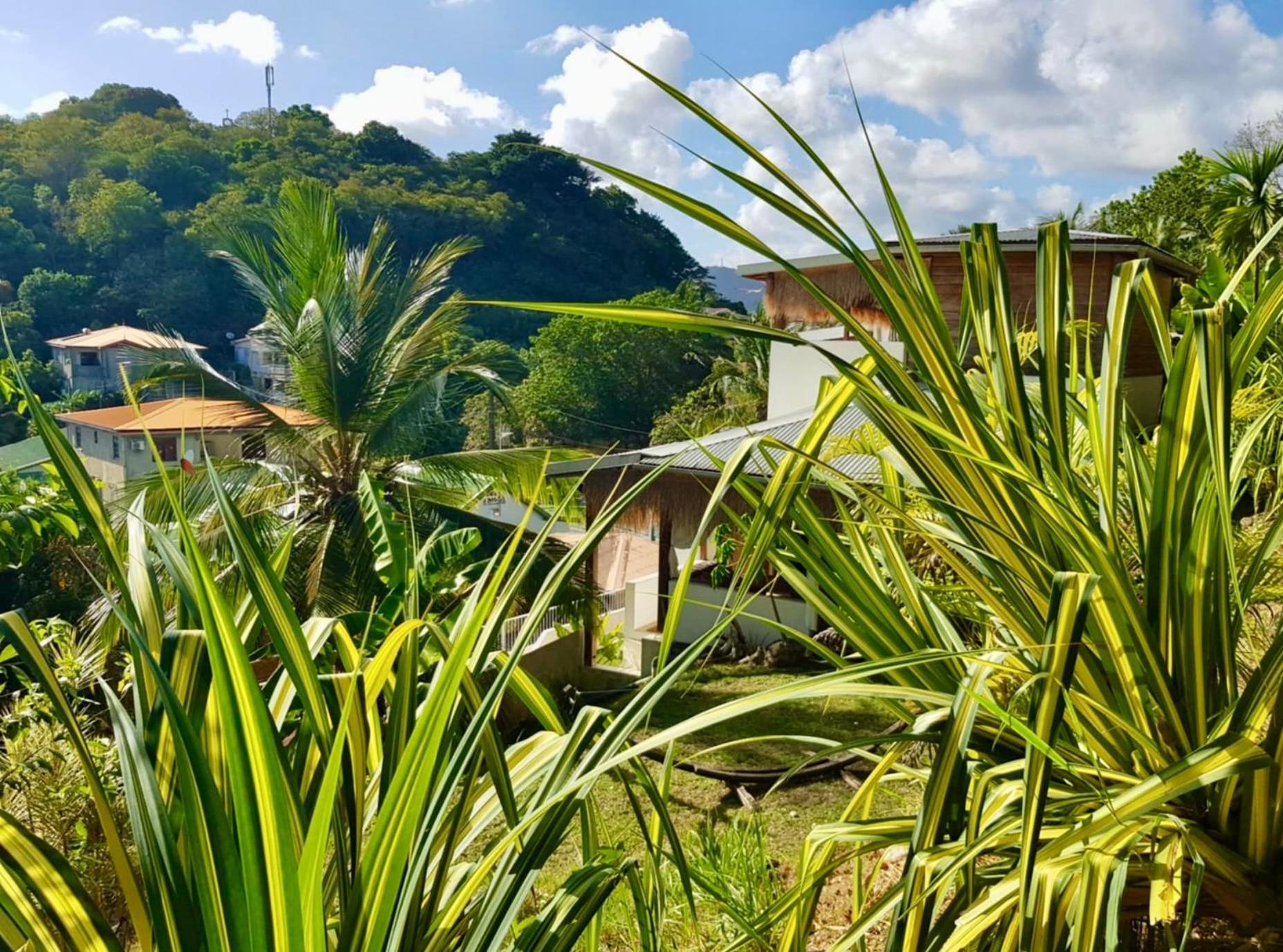 Cocotier, Elegant T3 Avec Jardin Tropical Διαμέρισμα Sainte-Anne Εξωτερικό φωτογραφία